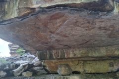 20251212-131-Ubirr-rock-art