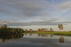 20251214-167-Yellow-Water