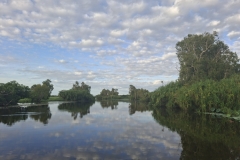 20251214-175-Yellow-Water