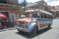 P1130861-Chivo-en-La-Paz