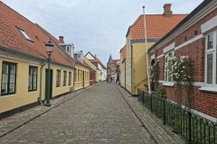 20250814-22-Ribe