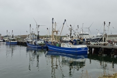 20250815-79-Vishaven-Hvide-Sande