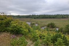 20250815-93-Stenbjerg-wandeling