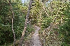 20250815-97-Stenbjerg-www.naturstyrelsen.dk_