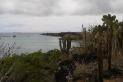 1_20151014_114834-Galapagos