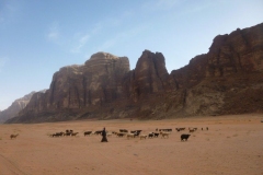 P1080497-Bedoeinen-in-Wadi-Rum