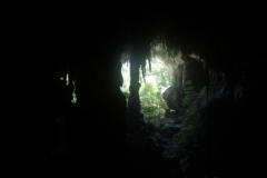 IMG_3207-Great-Cave-Niah