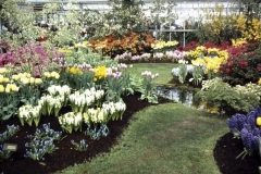 08-21-Keukenhof-1976