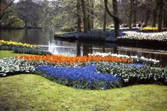 11A-17-Keukenhof