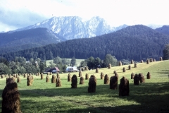 36-35-Zakopane-PL-typisch-landschap-1991