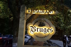 20250908-8-Vladikavkaz-Rest.-Bruges