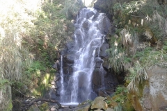 20161113_100658-Waterfall-in-Shann-Garden