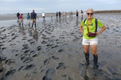 20240721-76-Pieterburen-wadlopen