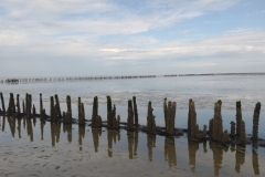 20240721-80-Pieterburen-wadlopen