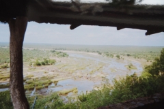 IMG_3699-Krugerpark-Olifants-Camp-en-Olifants-rivier