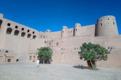 DSC_1579-Herat-citadel