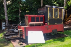 20240707-47-Port-Blair-Forest-Museum