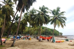 20240707-73-Corbyns-Cove-Beach