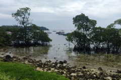 20240708-137-Nice-Havelock-view