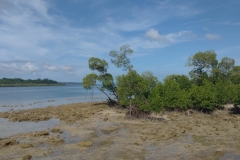 20240708-140-At-the-ferryplace