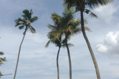 20240709-165-North-Bay