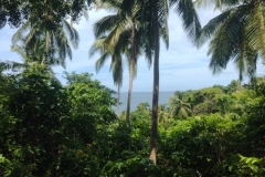 20240709-172-View-from-Naval-Coastal-Battery-Point