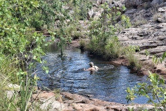 20251214-211-Mary-Creek-pool