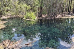 20251217-269-Elsey-NP-Bitter-Springs