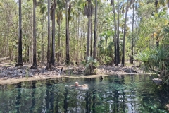 20251217-273-Bitter-Springs