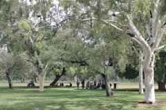 20251218-297-Mataranka-aboriginals-gathering