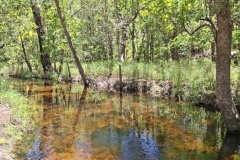 20251219-319-Robin-Falls