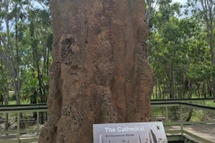 20251221-345-Litchfield-Termite-Mounds