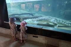 20251222-385-territory-Wildlife-Park