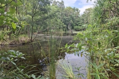 20251222-402-Darwin-Wildlife-Park