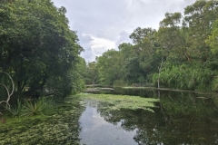 20251222-404-Darwin-Wildlife-Park