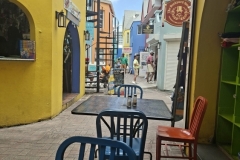 20250711-14-Alley-at-the-Bearded-Clam