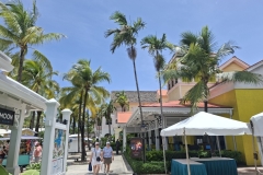 20250712-39-Paradise-Island