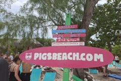 20250714-100-www.pigsbeach.com_