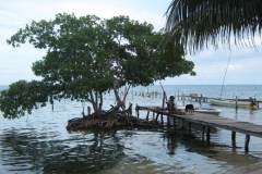 IMG_0477-belize-Caye-Caulker