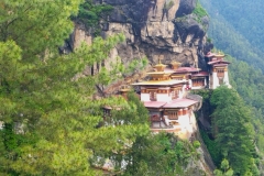 20240704-338-Tigers-Nest