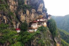 20240704-348-Tigers-Nest