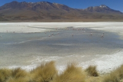 1_20151105_113726-Laguna-Colorada