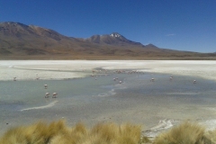 20151105_113748-Laguna-Colorada