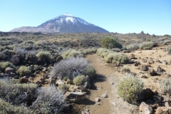 1_P1060267-Teide