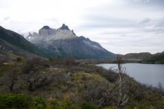 P1000246-Torres-del-Paine