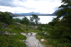 P1000299-Torres-del-Paine