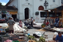 Medellin-196