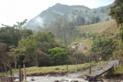 090123-Valle-de-Cocora-7