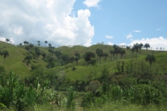 090219-Op-weg-naar-Manizales-2