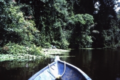 59-23-Tortuguero-Tortuguero-op-de-kanalen